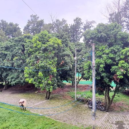 Nature View Homestay دهرادون المظهر الخارجي الصورة