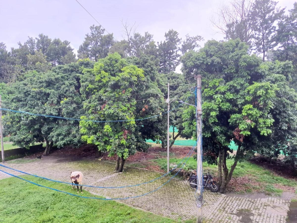 Nature View Homestay دهرادون المظهر الخارجي الصورة
